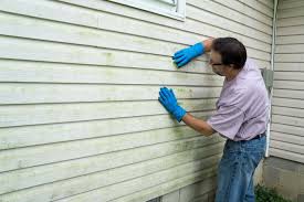 Best Residential Vinyl Siding Installation  in Alamo, TX